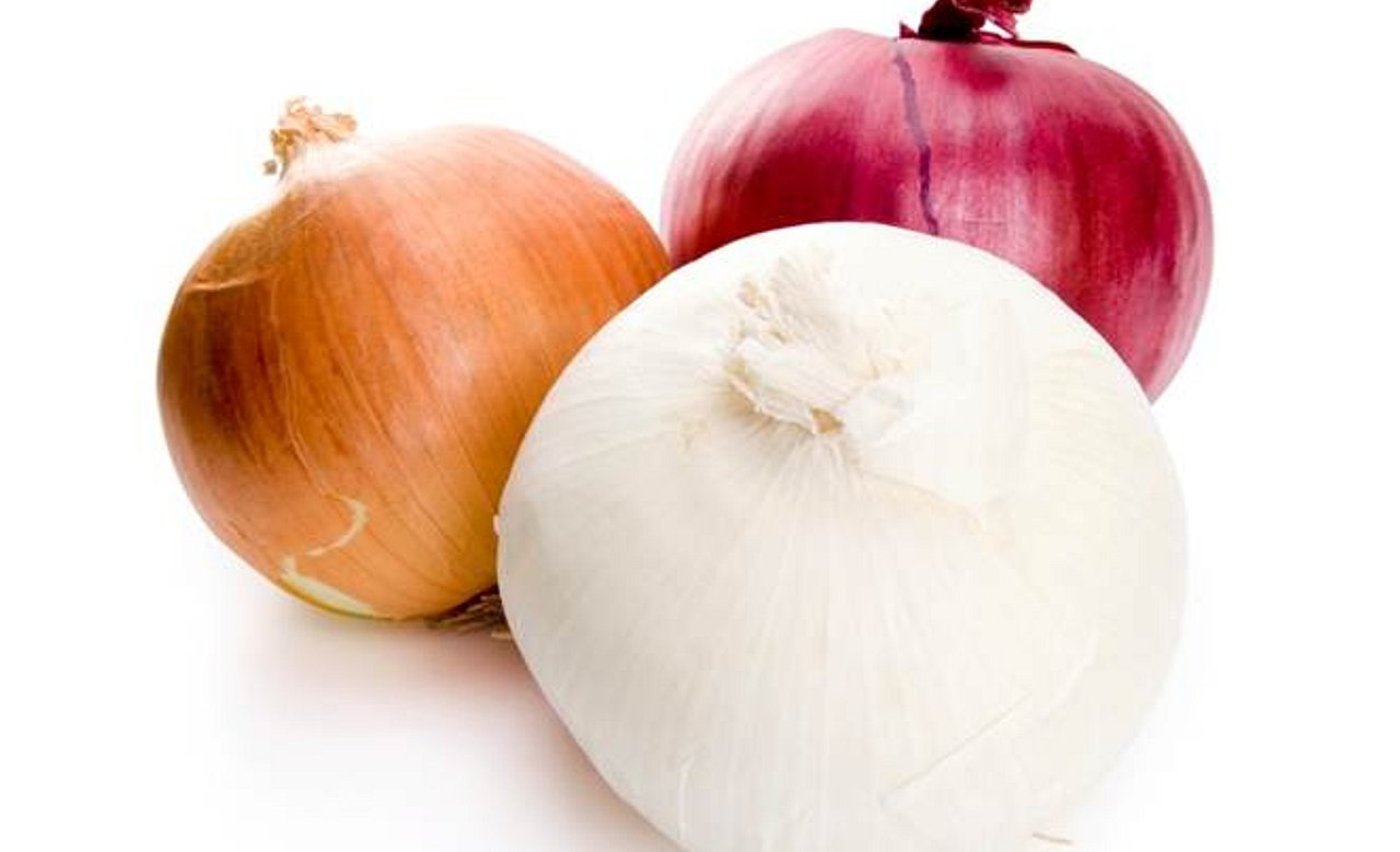 Onion.jpeg